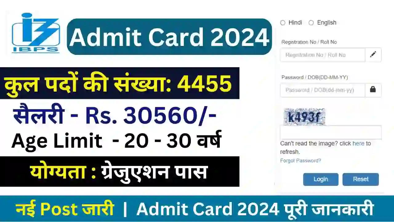 IBPS CRP PO MT XIV 2024 Admit Card Release